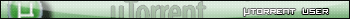 uTorrent User