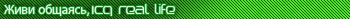   ICQ