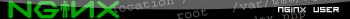 nginx