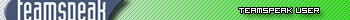 TeamSpeak user