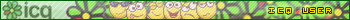 ICQ user