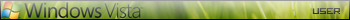 Windows Vista User