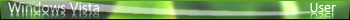 Windows Vista User