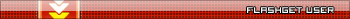 FlashGet User