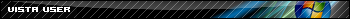 vista user