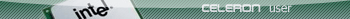 celeron user