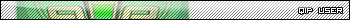 QIP User