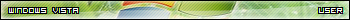 vista user