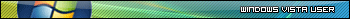 Vista User