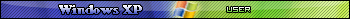 Windows XP User