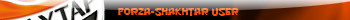 Forza-Shakhtar user