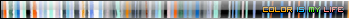 Color Is My Life