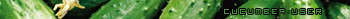 Cucumber user