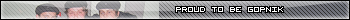 gopnik
