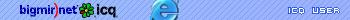 ICQ Bigmir User