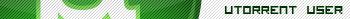 utorrent user