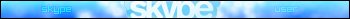 Skype User