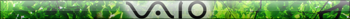 Vaio