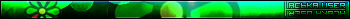 Icq user