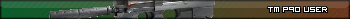 TM P90