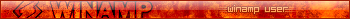 Winamp user
