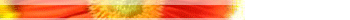 administrator