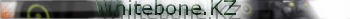 Whitebone best banner`
