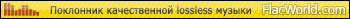 Lossless Music Fan
