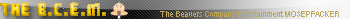 The B.C.E.M.