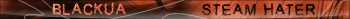 MySteamUBar