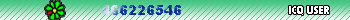 MY ICQ