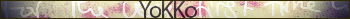YoKKo fan