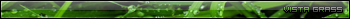 Vista Grass