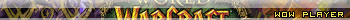 WoW Player