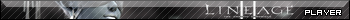 Lineage II Player