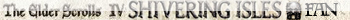 The Elder Scrolls IV Shivering Isles