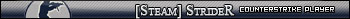 [Steam]