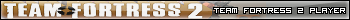Team Fortress 2 Player