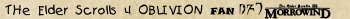 Tes 4 Oblivion fan