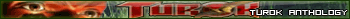 Turok fan