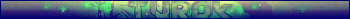 Turok