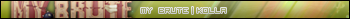 my_brute