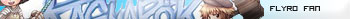 fly ragnarok online fan