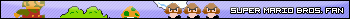 Super Mario Bros. Fan
