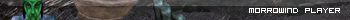 morrowind player