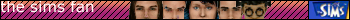 the sims