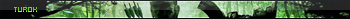 Turok