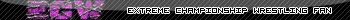 ECW Fan