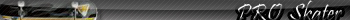 slavawsk_userbar1.5 PRO Skater