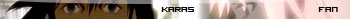 Karas fan